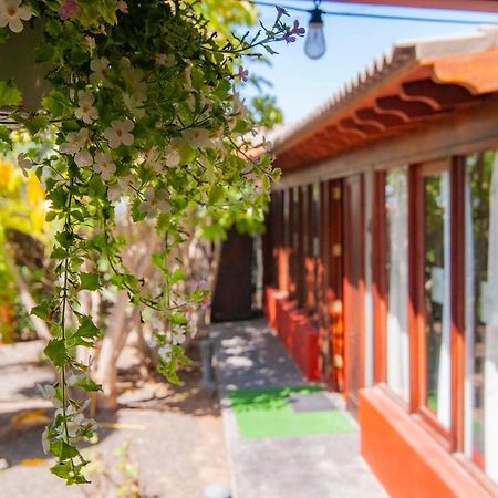 El Rincon Del Huroncillo Tejina Exteriér fotografie
